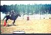Mounted_Shooting.jpg